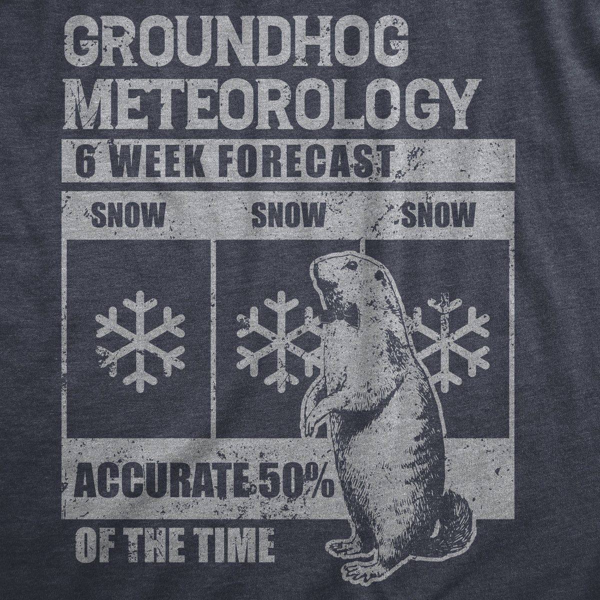 Groundhog Meteorology Men's T Shirt