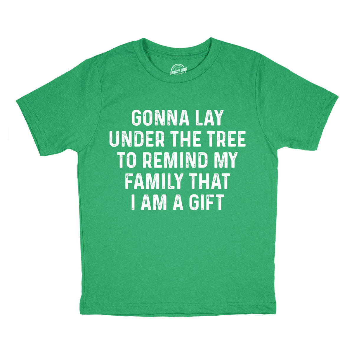 Gonna Lay Under The Tree To Remind My Family That I Am A Gift Youth T Shirt