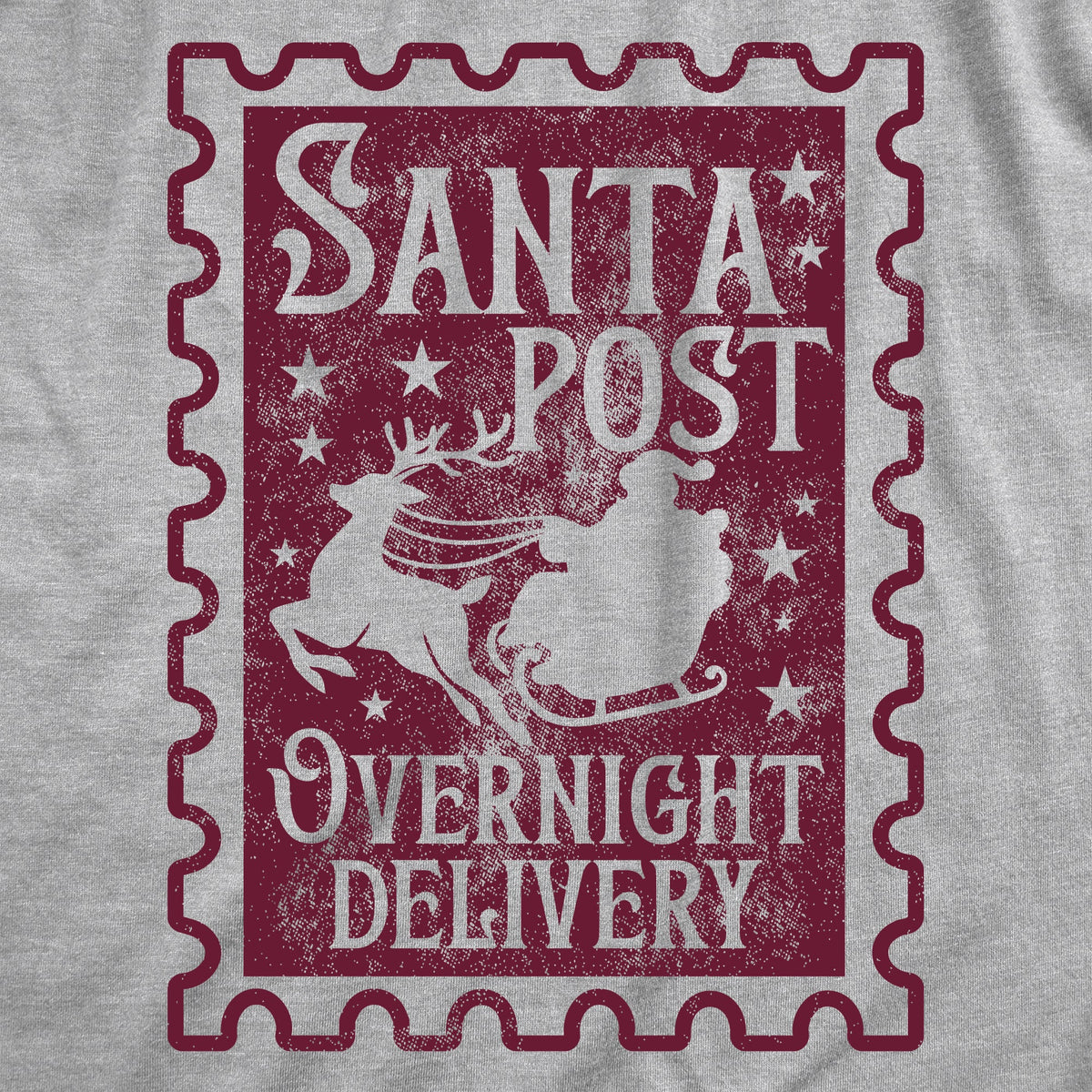 Santa Post Overnight Delivery Women's T Shirt