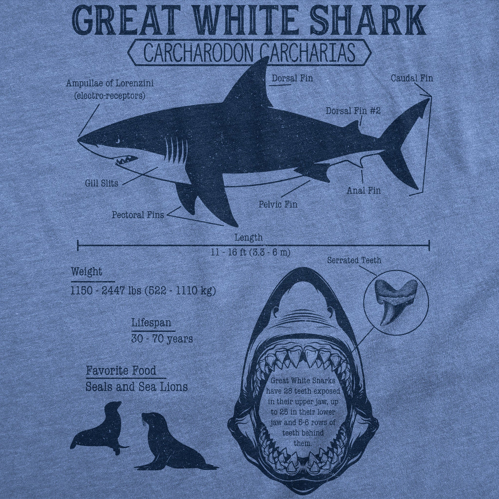 Great White Shark Infographic Women's T Shirt