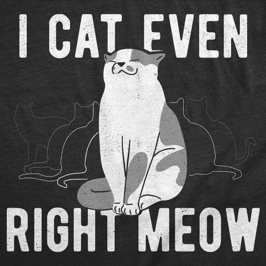 I Cant Even Right Meow Women's T Shirt