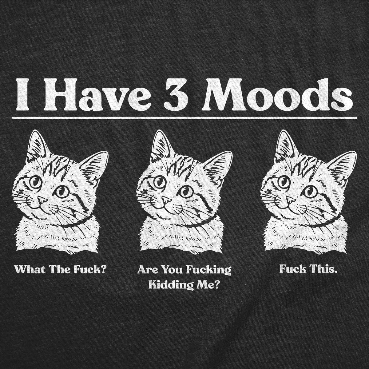 I Have Three Moods What The Fuck Are You Fucking Kidding Me Fuck This Men's T Shirt