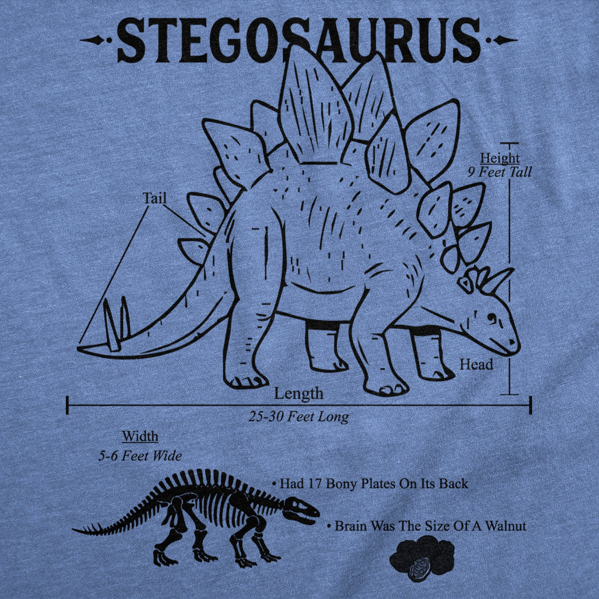 Stegosaurus Infographic Women's T Shirt