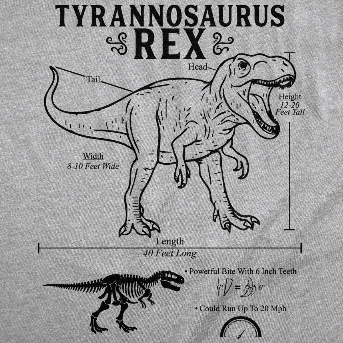 Tyrannosaurus Rex Infographic Women's T Shirt