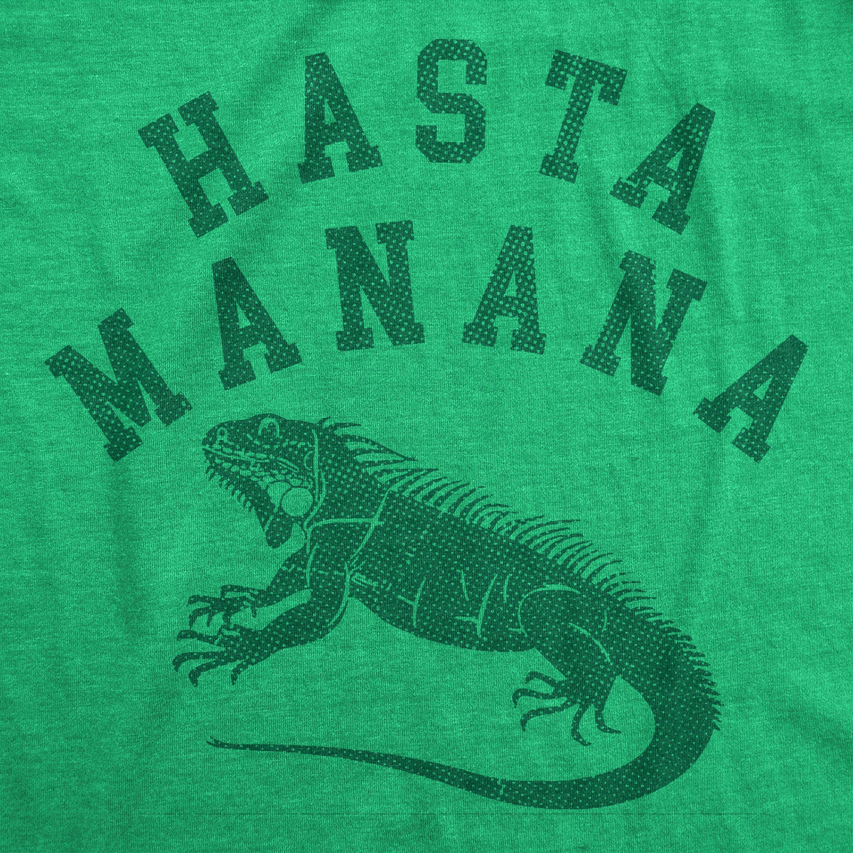 Hasta Manana Iguana Men's T Shirt