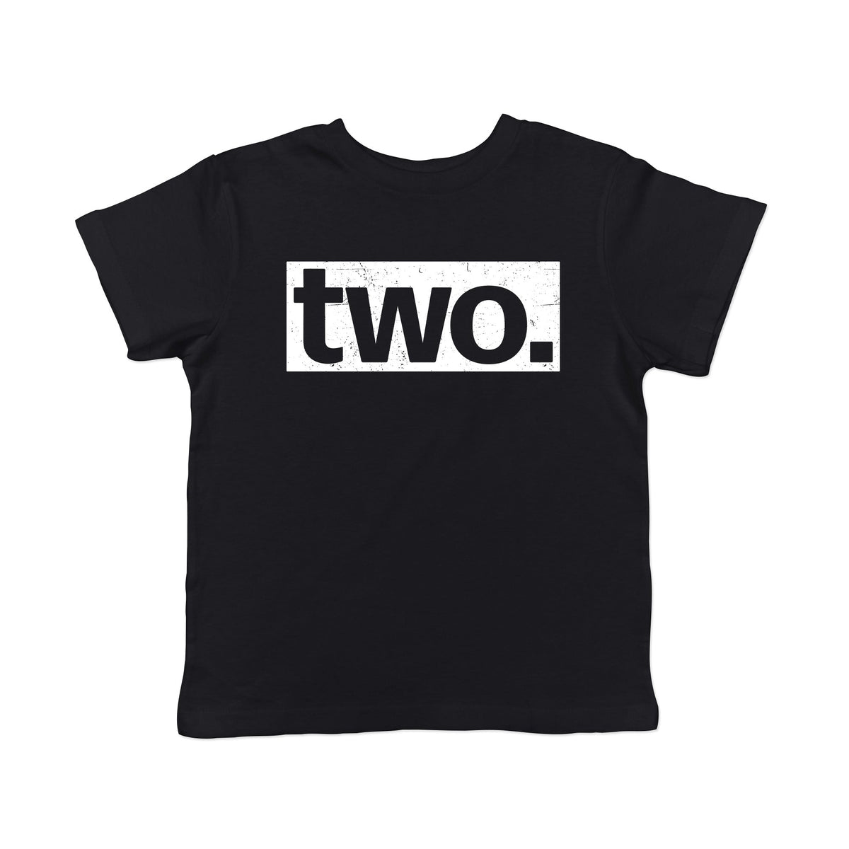 Two Birthday Toddler T Shirt