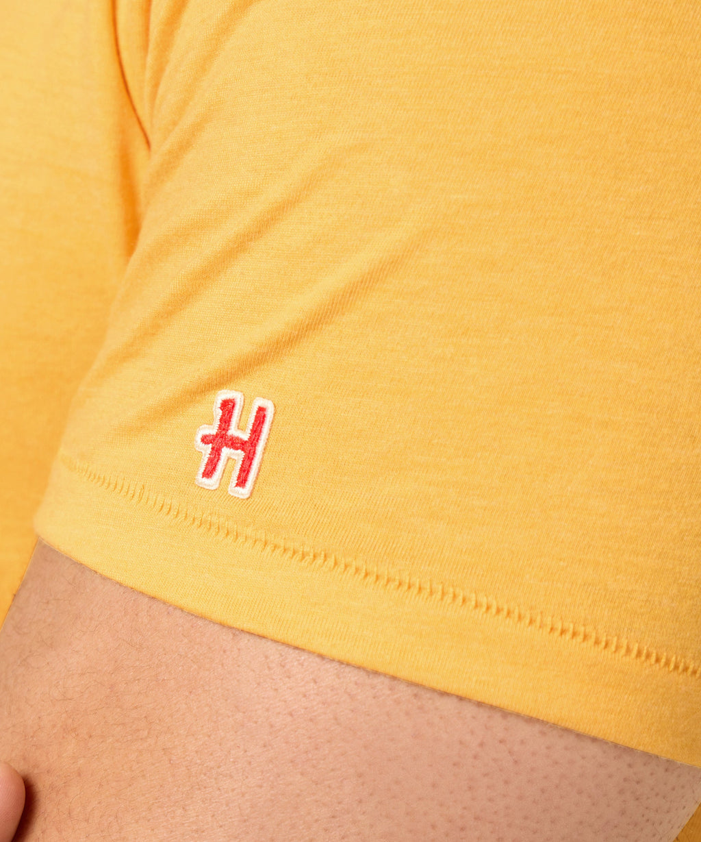 Arizona Cardinals Desert Landscape