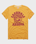 Arizona Cardinals Desert Landscape