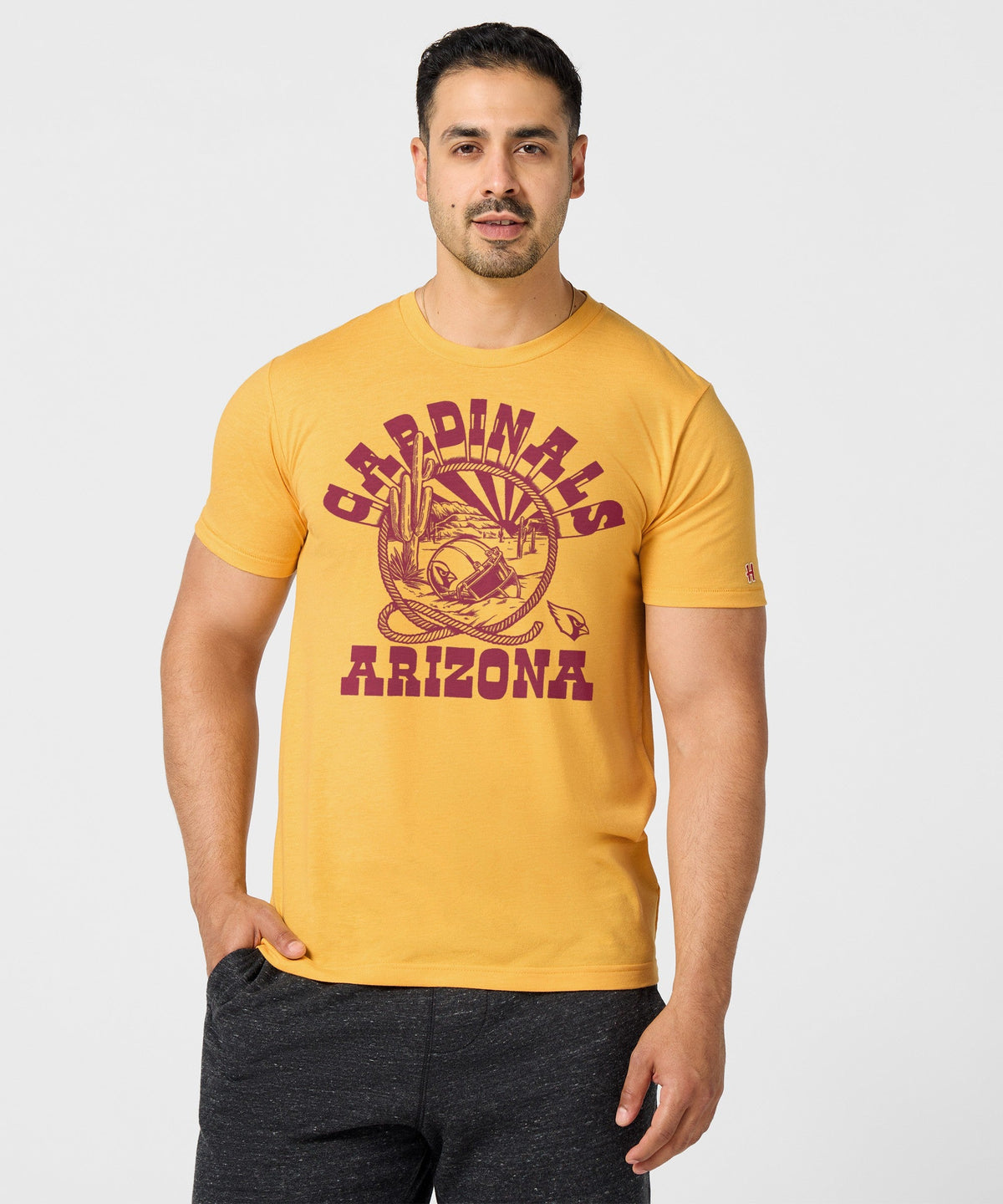 Arizona Cardinals Desert Landscape