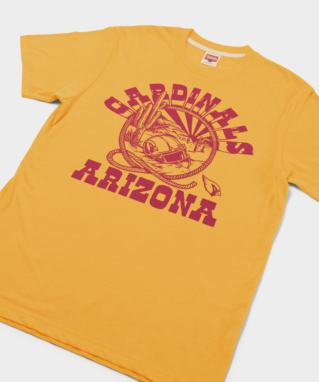 Arizona Cardinals Desert Landscape