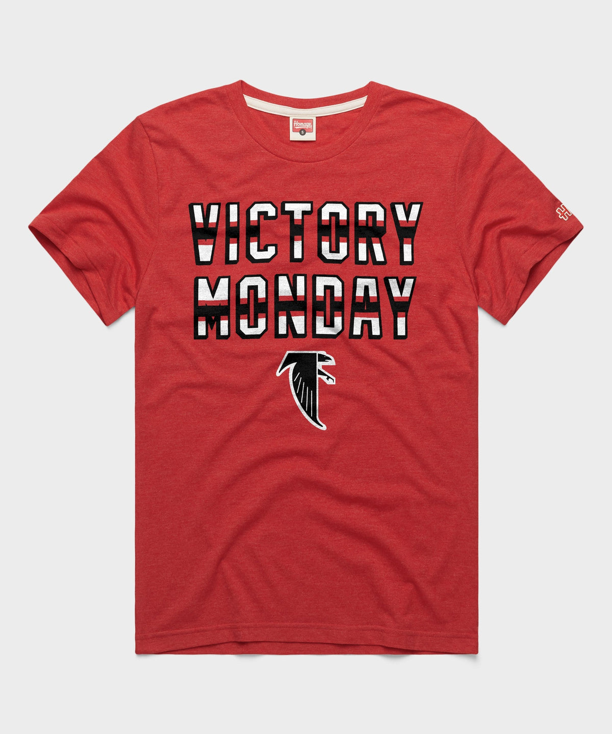 Atlanta Falcons Victory Monday