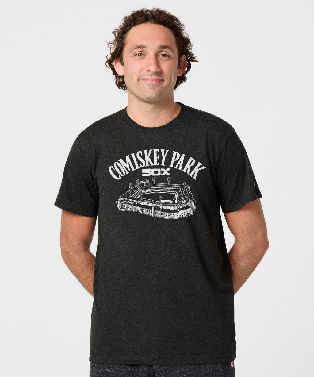 Comiskey Park Sox