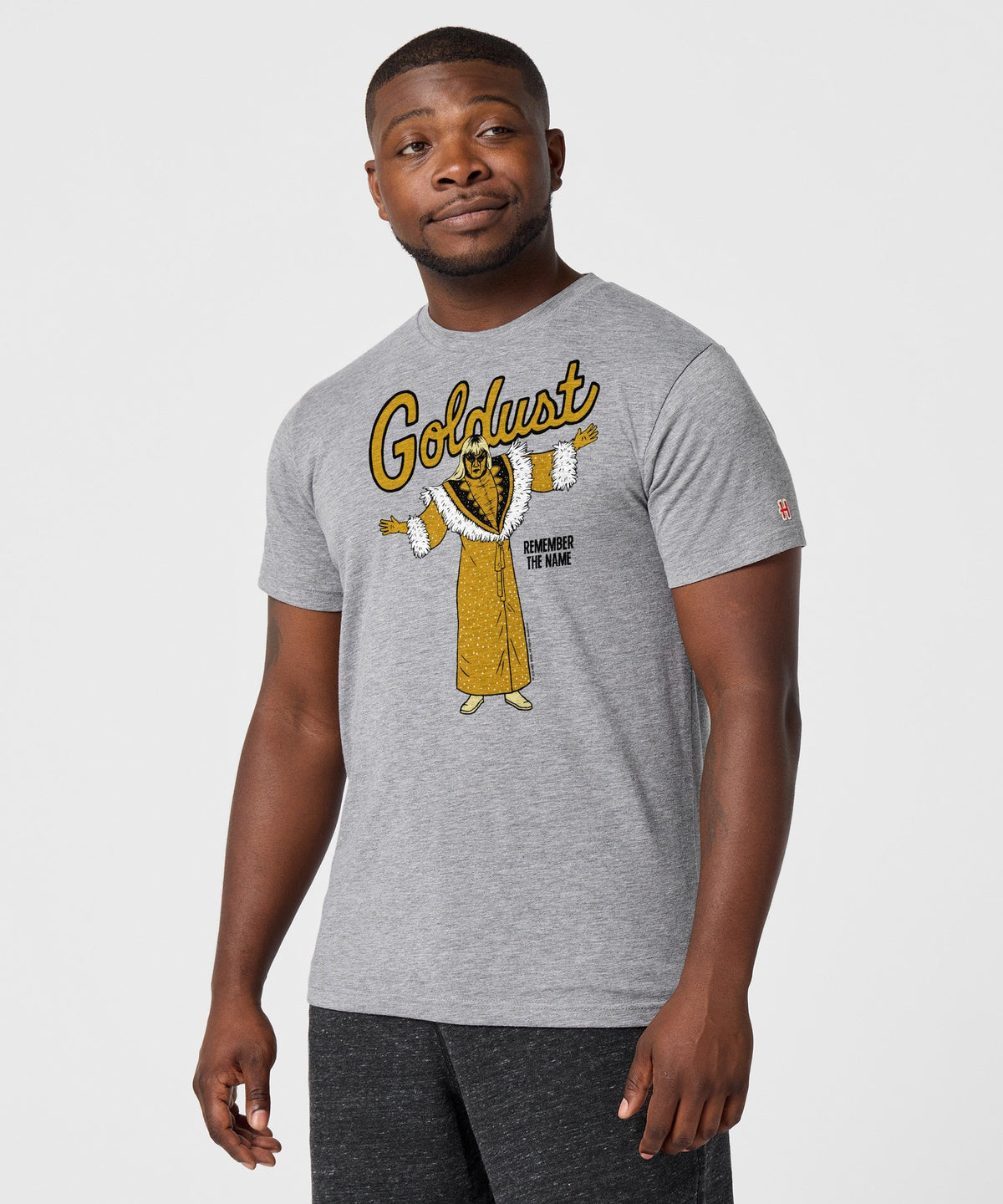 Goldust Remember The Name
