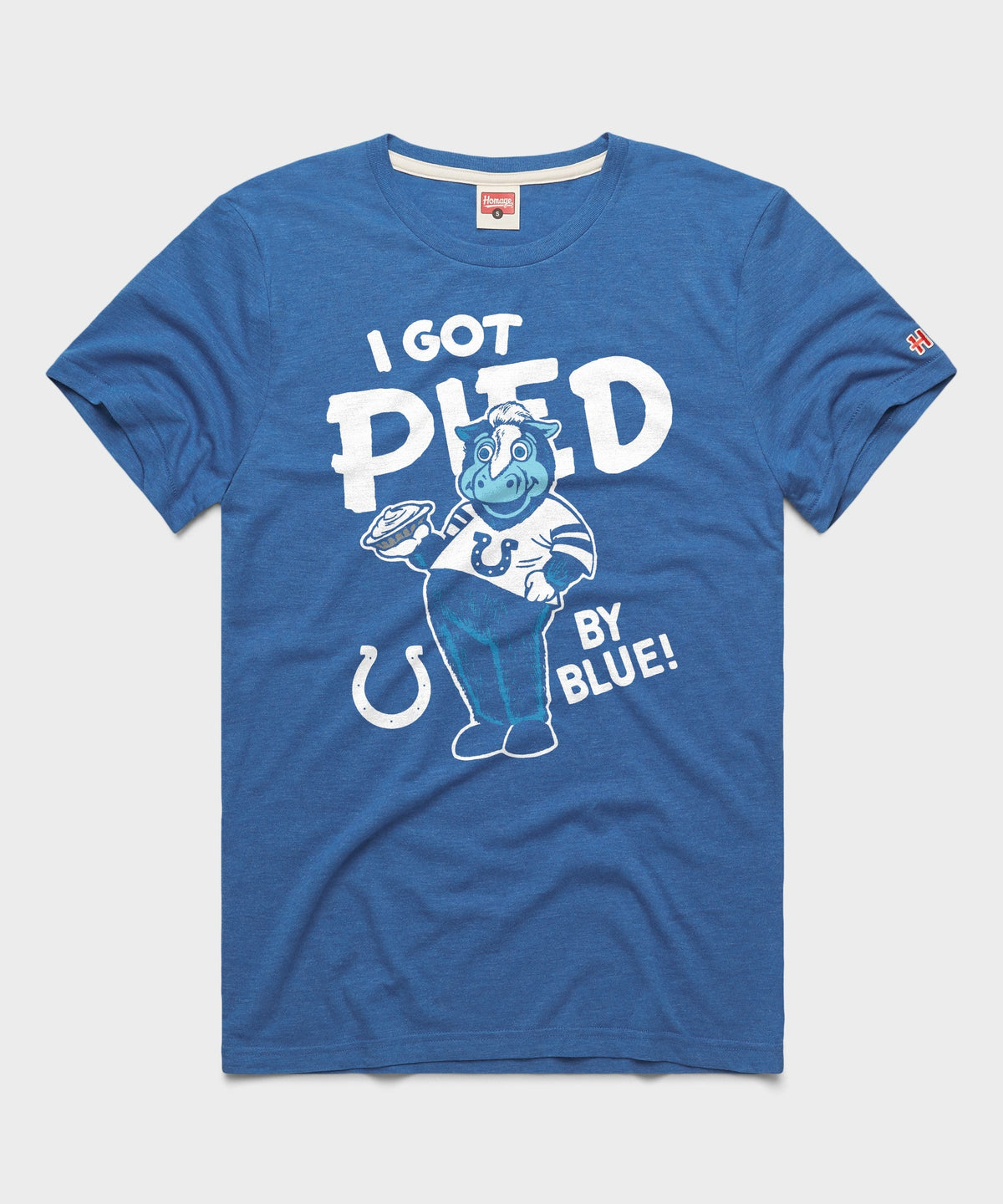 I Got Pied By Blue