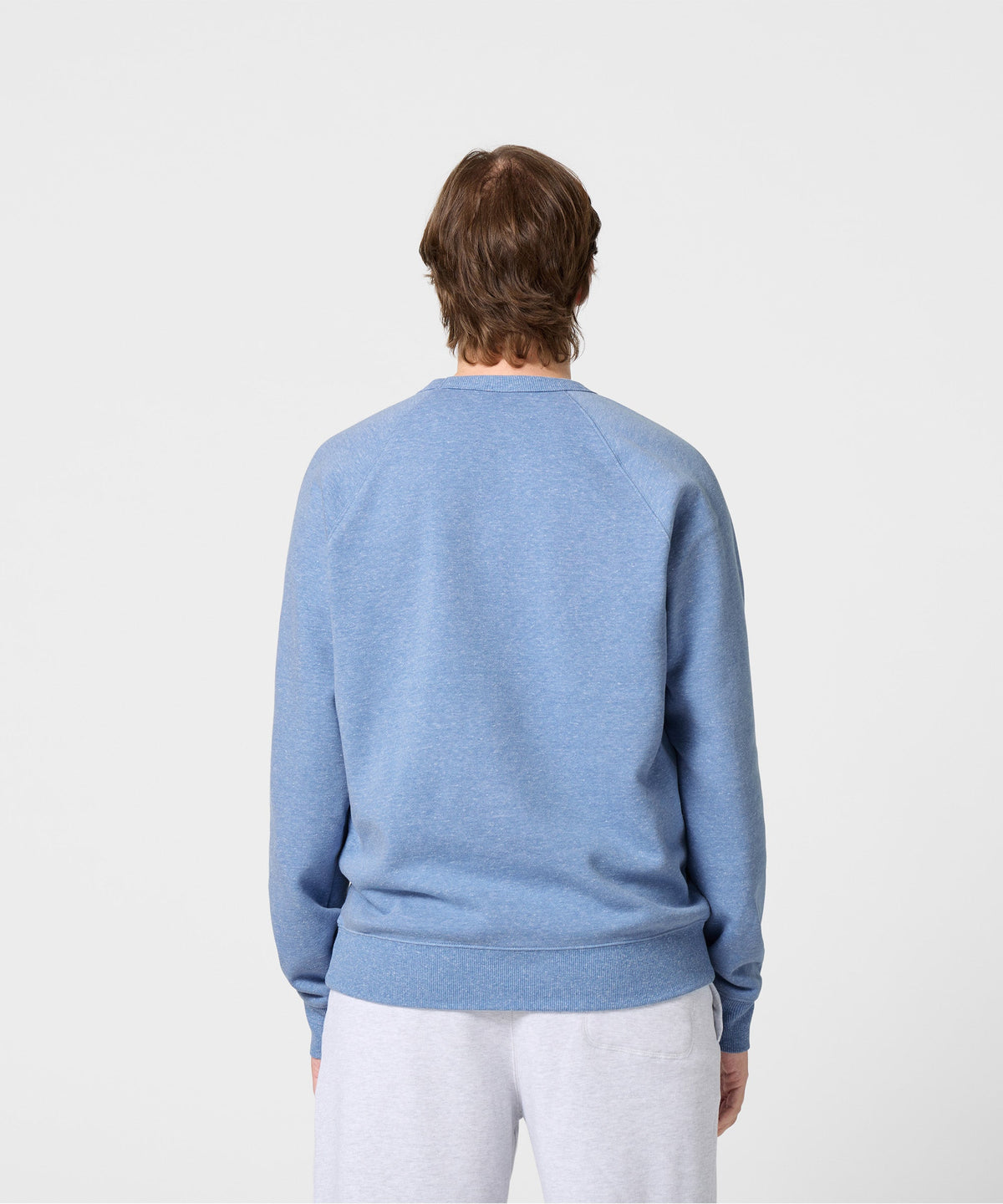Not Now Arctic Puffin Crewneck