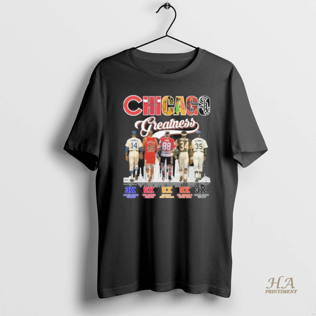 Official Chicago Sports Teams Players Greatness