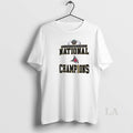 Original University Of Wisconsin River Falls Falcons Football Diii National Champions