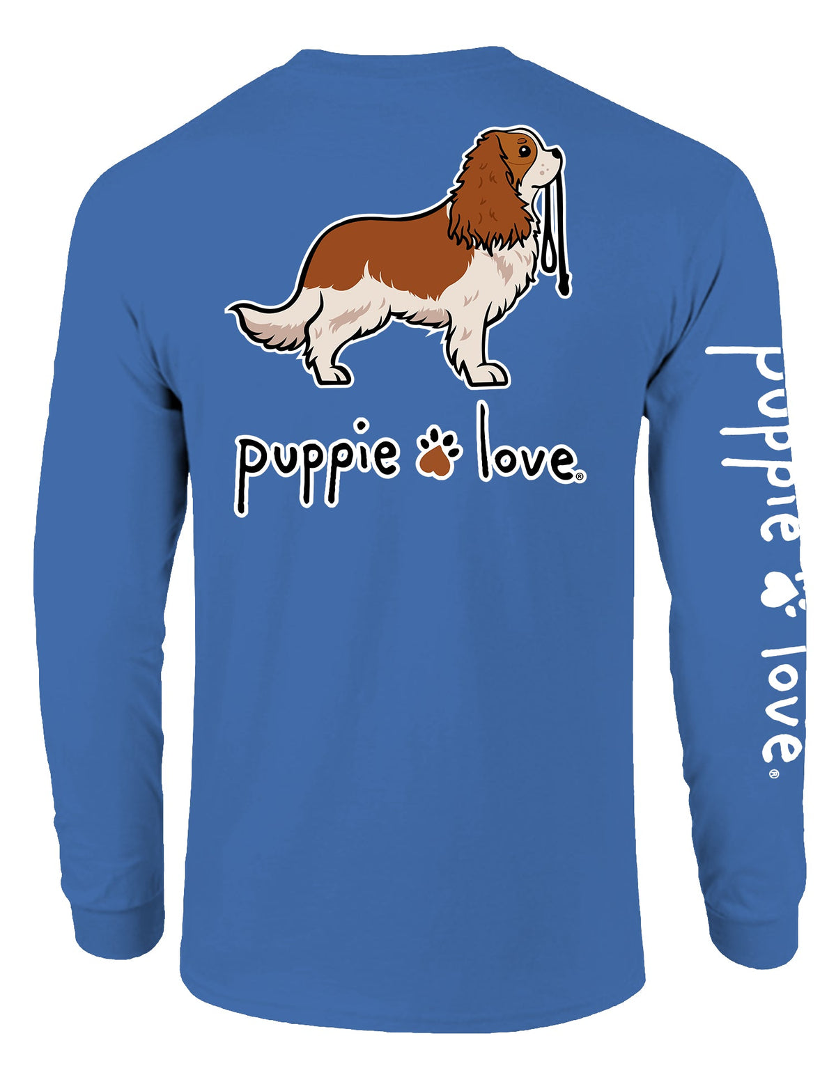 CAVALIER KING CHARLES SPANIEL PUP (BLENHEIM), ADULT LS