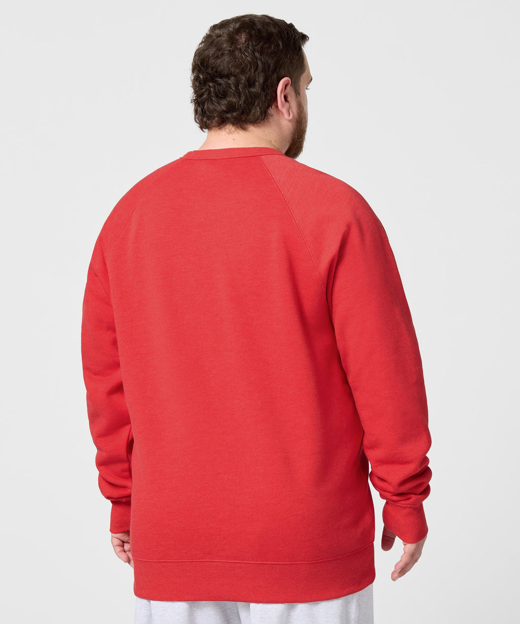 Script Ohio Outline Crewneck