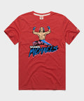 Shawn Michaels Victory