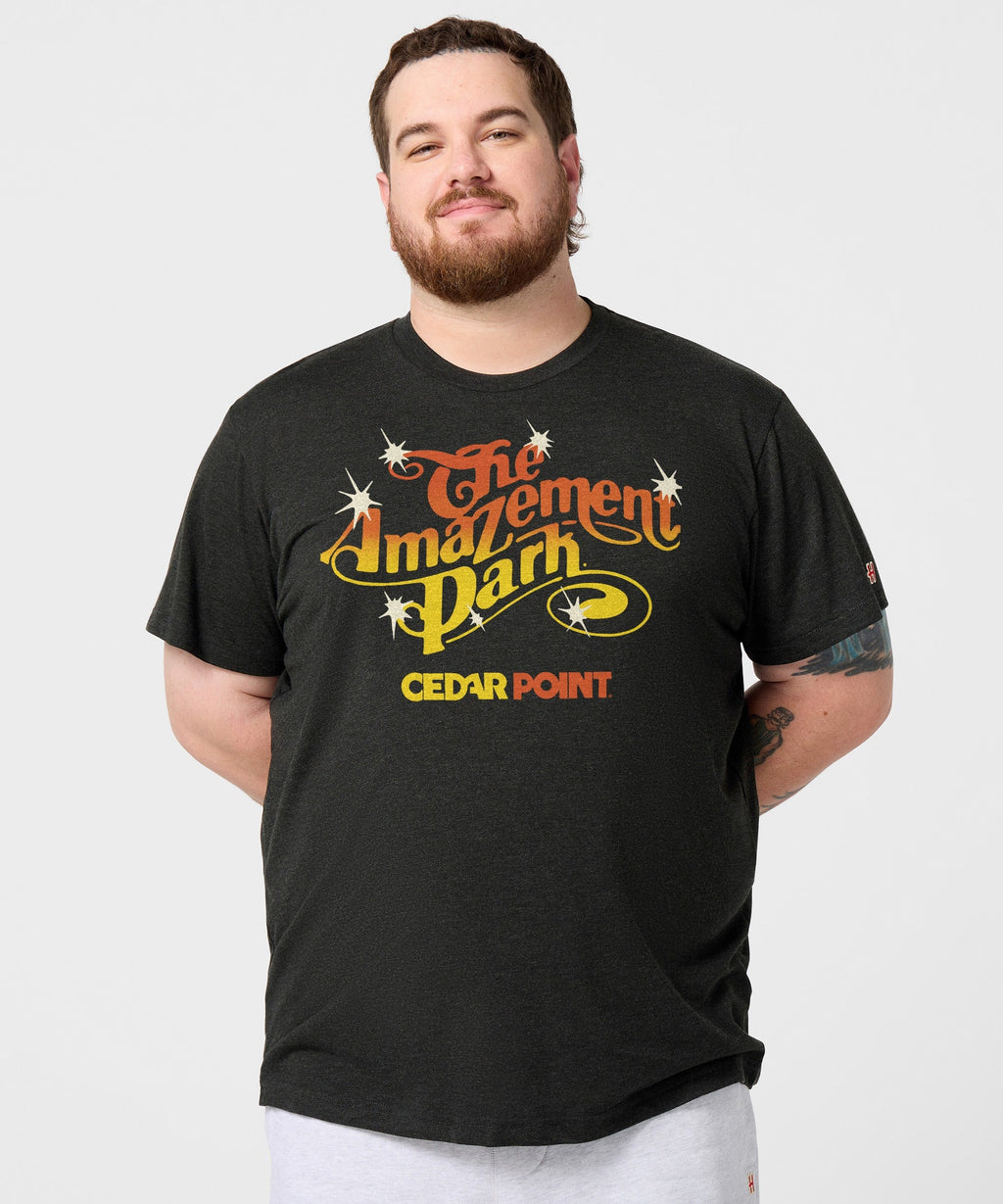 The Amazement Park