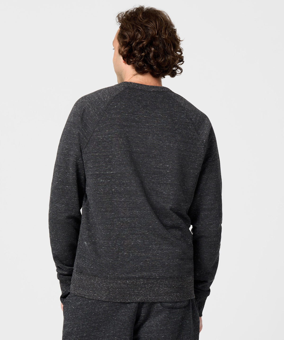 Toronto Raptors Logo Crewneck