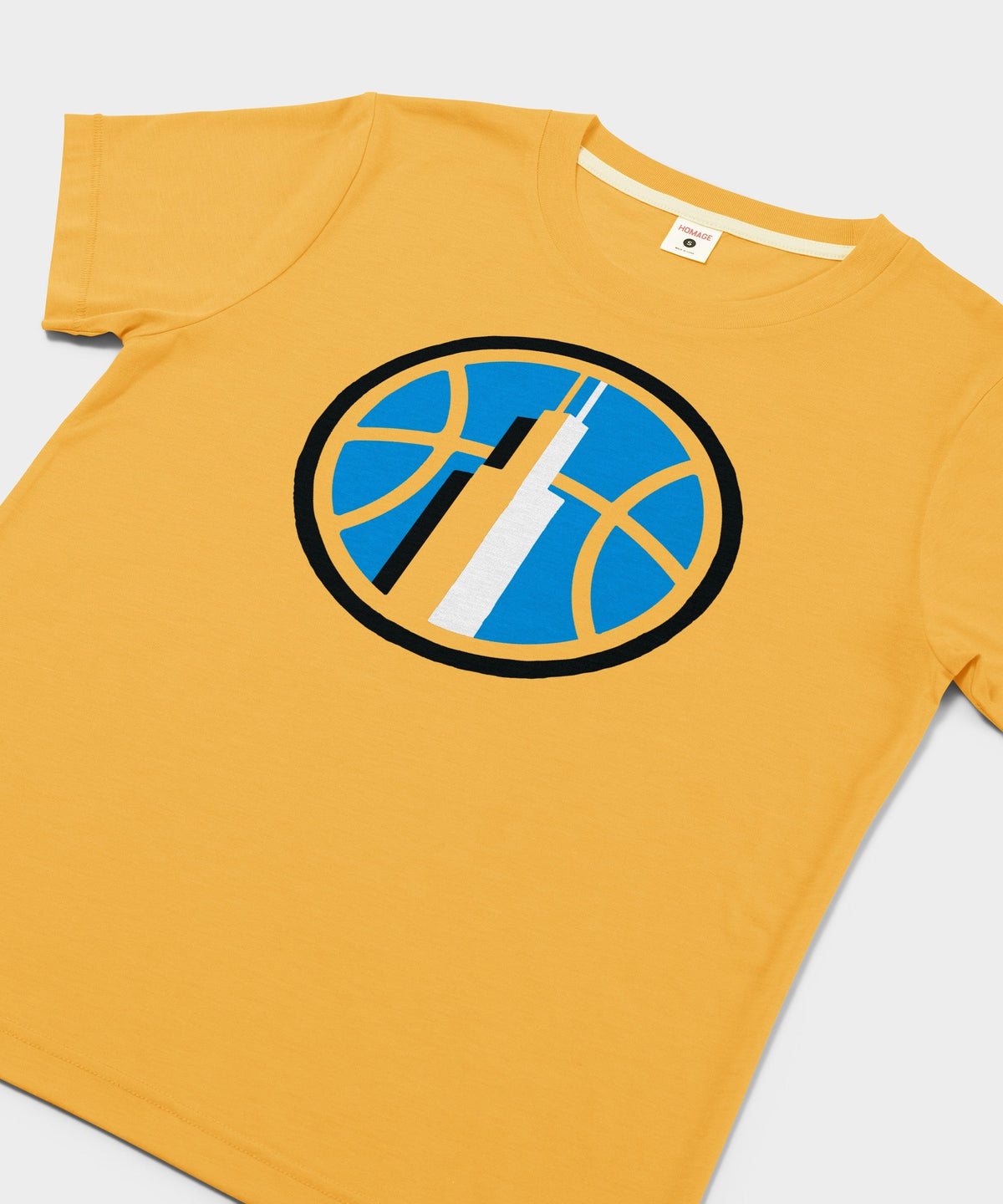 Women's Chicago Sky Logo