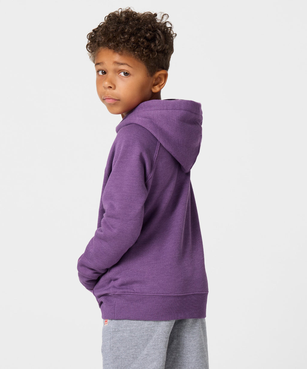 Youth Baltimore Ravens '99 Hoodie