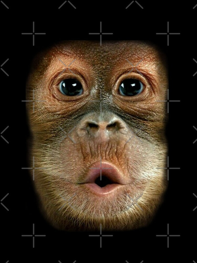 Funny Chimpanzee face by More than Myriad