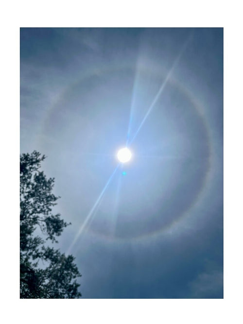 a rainbow around the sun, natural phenomenon by Teresa cantley