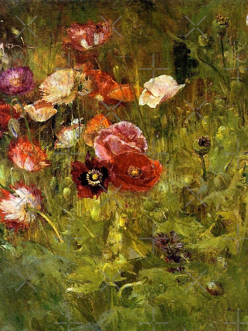 A Bed of Poppies by LadybellVintage