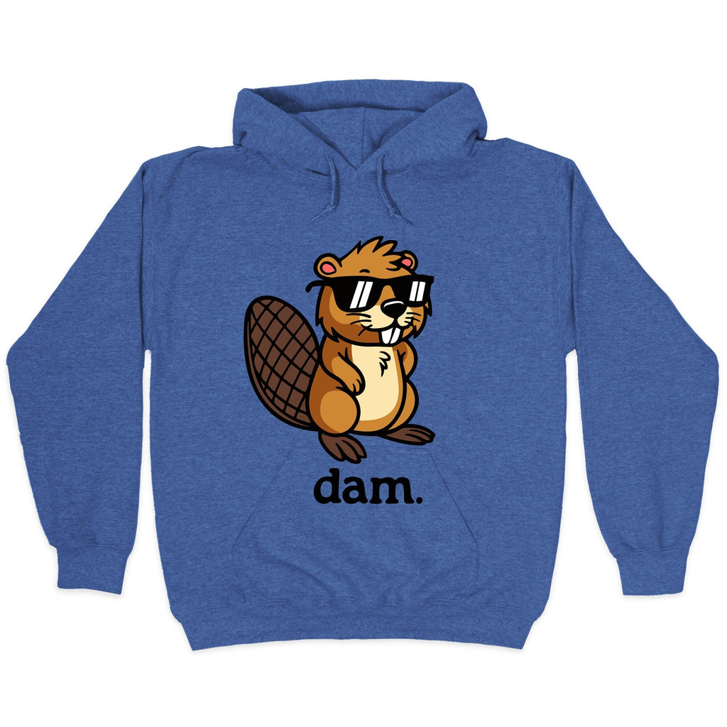 Dam.