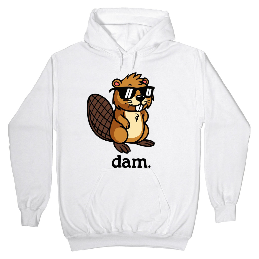 Dam.