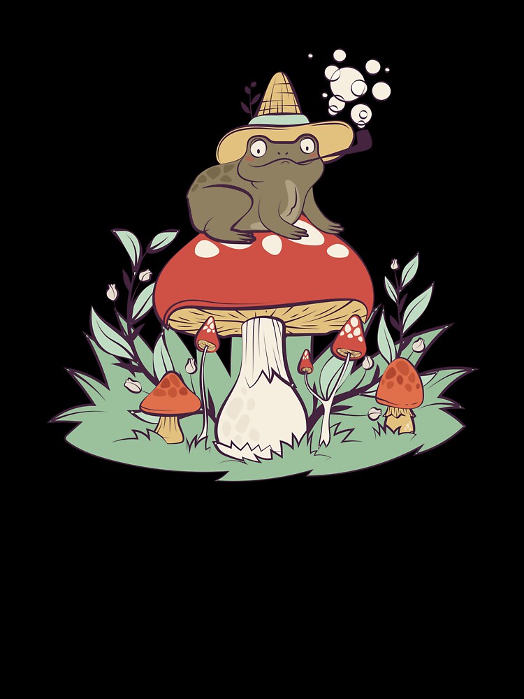Wizard Frog On Mushroom Cottagecore Whimsical Botanical Fantasy Art by DERA RAY