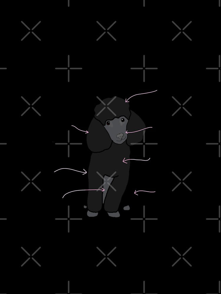 Anatomy of a Poodle by mcdouemm