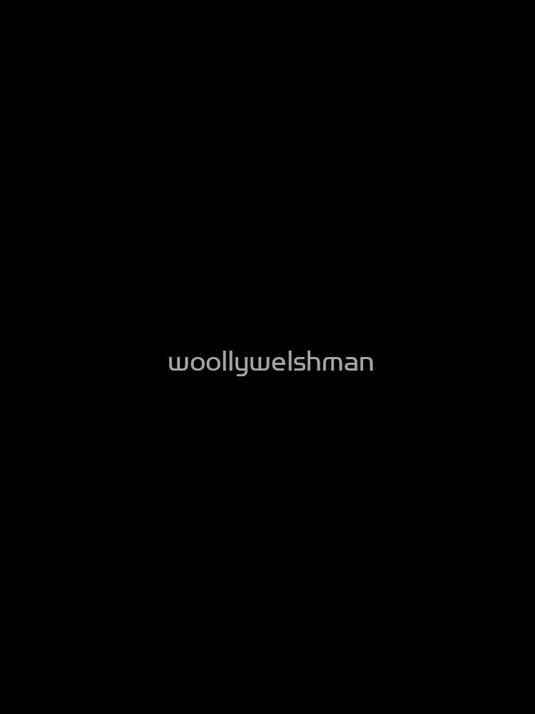 Insert relatable meme by woollywelshman