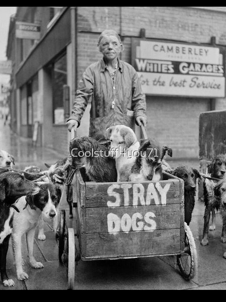 Vintage dog cute photo Stray Dogs retro pet in love by Coolstuff4you71