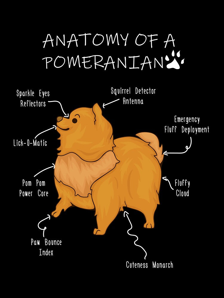 Anatomy of a Pomeranian by Petensity