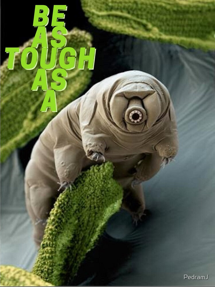 Tough as a tardigrade by PedramJ