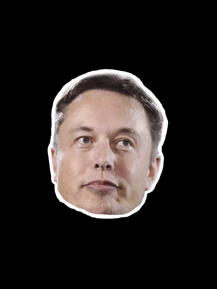 Elon Musk Face by eliahb