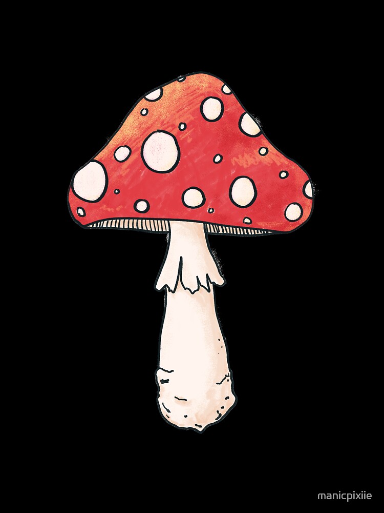 Cottagecore mushroom by manicpixiie