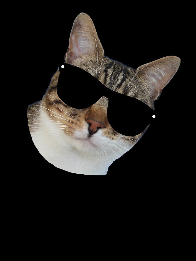 cat wearing sunglasses by MeIanie