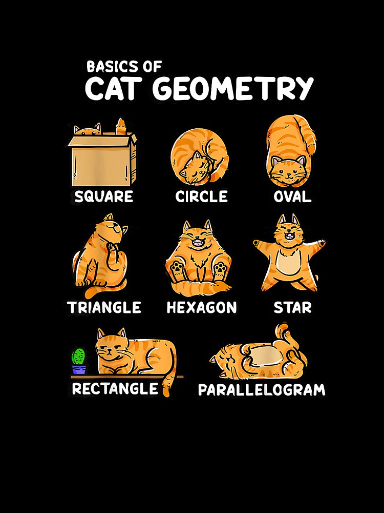 Basic Cat Geometry Cute Cat Cat Lover Cat Owner Math School T-Shirt by Badriiiii