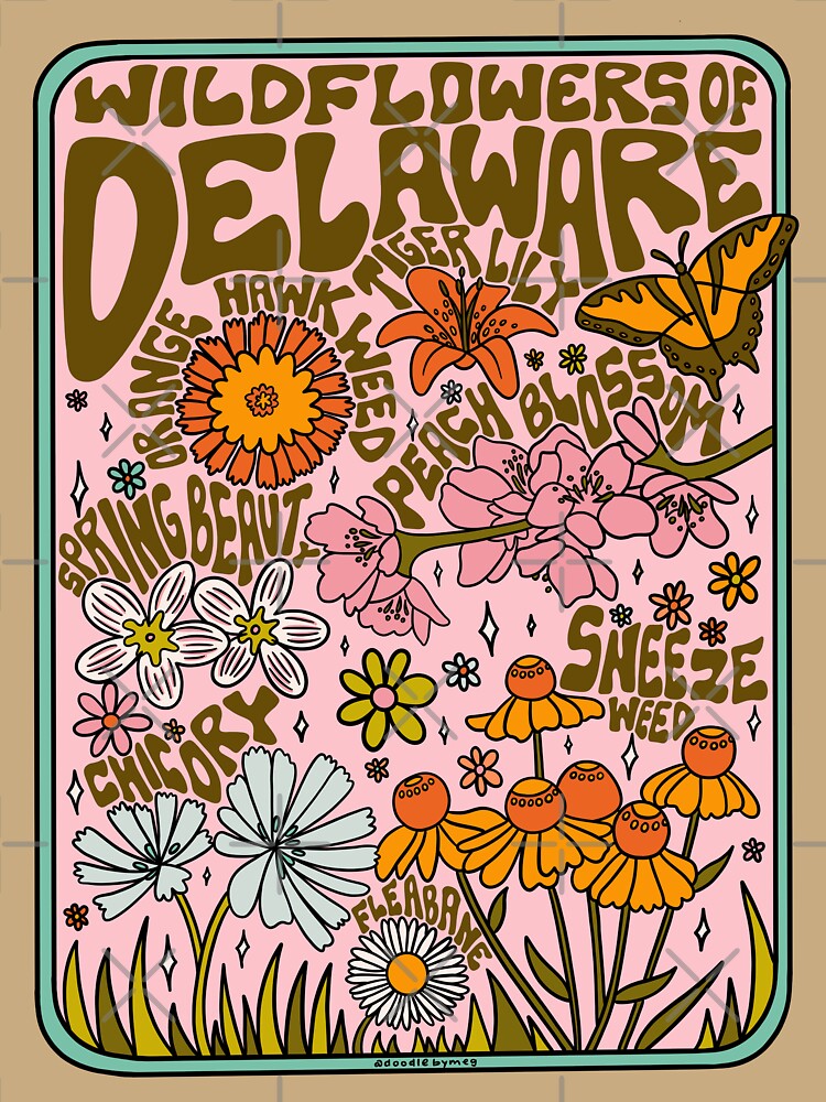 Delaware Wildflowers by doodlebymeg