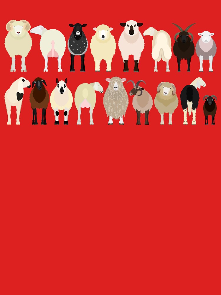 Sheep Breeds by refineryn1