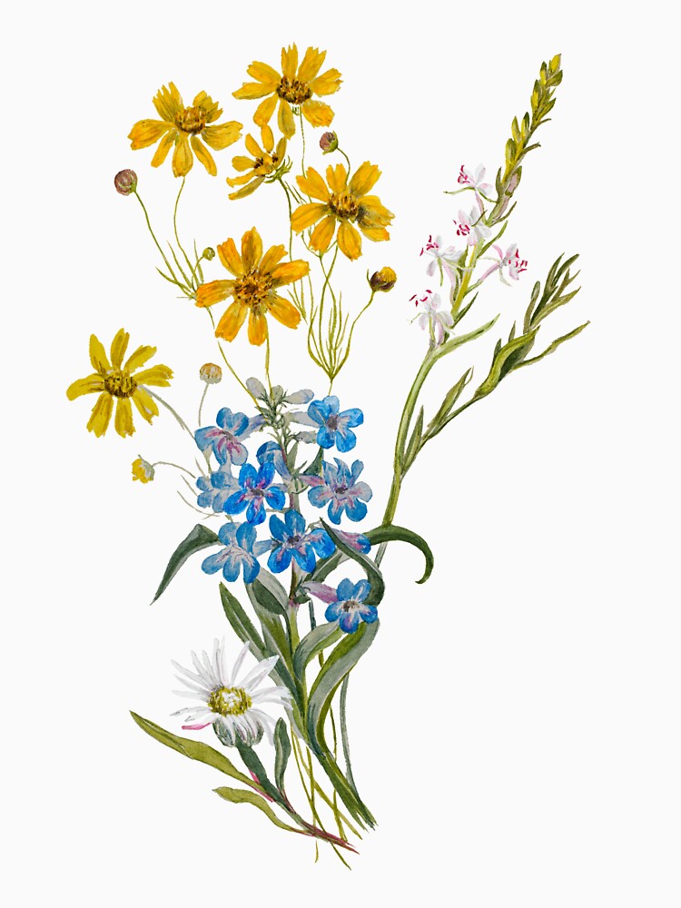 Yellow, White And Blue Flower Bouquet Illustration by ClassicRose