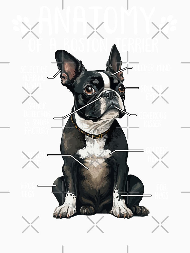 Funny Boston Terrier Anatomy Bostie Dog Lover by lanynx design