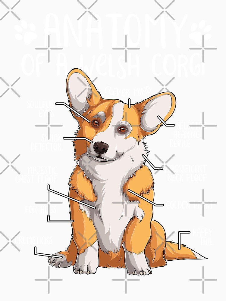 Funny Welsh Corgi Dog Anatomy Dog Owner Dog Lover by lanynx design