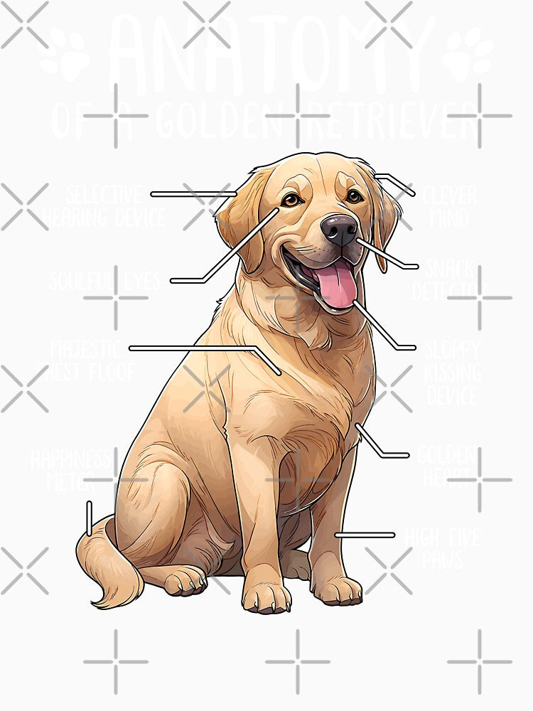 Funny Golden Retriever Anatomy Dog Lover Owner by lanynx design