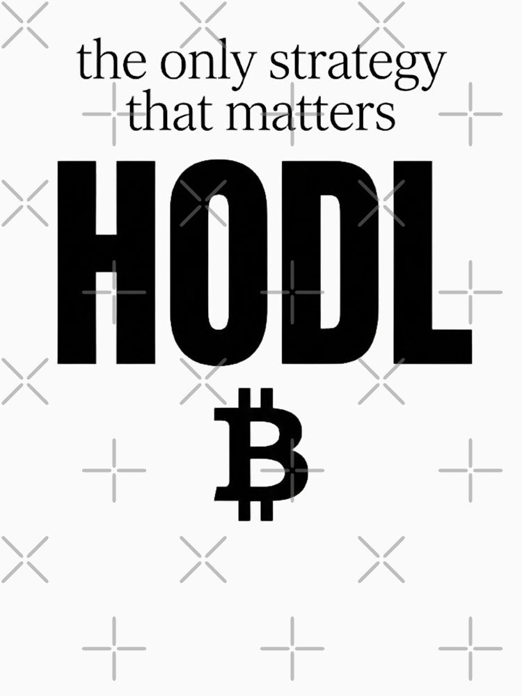 HODL Crypto Hoodie | Bitcoin Gift | BTC Hodler by FluxControl